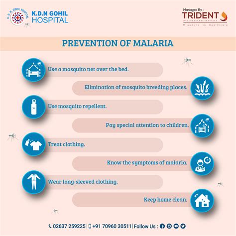 hqpiener|How to prevent malaria .